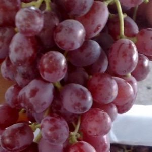 Crimson Grapes