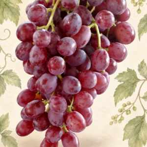Cinderella’s Picks Crimson Grapes